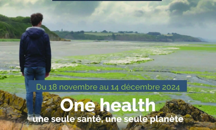 Affiche de Images de sciences 2024